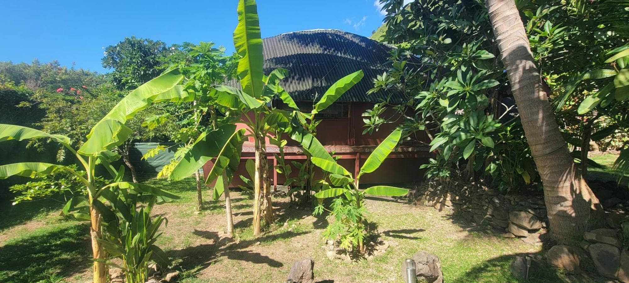 Location " La Pirogue " Maison D'Hotes A Moorea Haapiti Zewnętrze zdjęcie