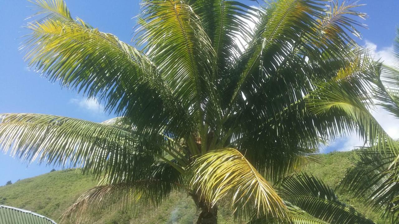 Location " La Pirogue " Maison D'Hotes A Moorea Haapiti Zewnętrze zdjęcie